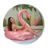 Bóia Grande Flamingo Insuflável Aremar