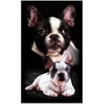 Toalha Praia Microfibra Bulldog Francês