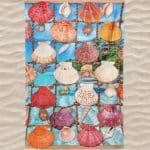 Toalha de Praia Microfibra Conchas e Búzios